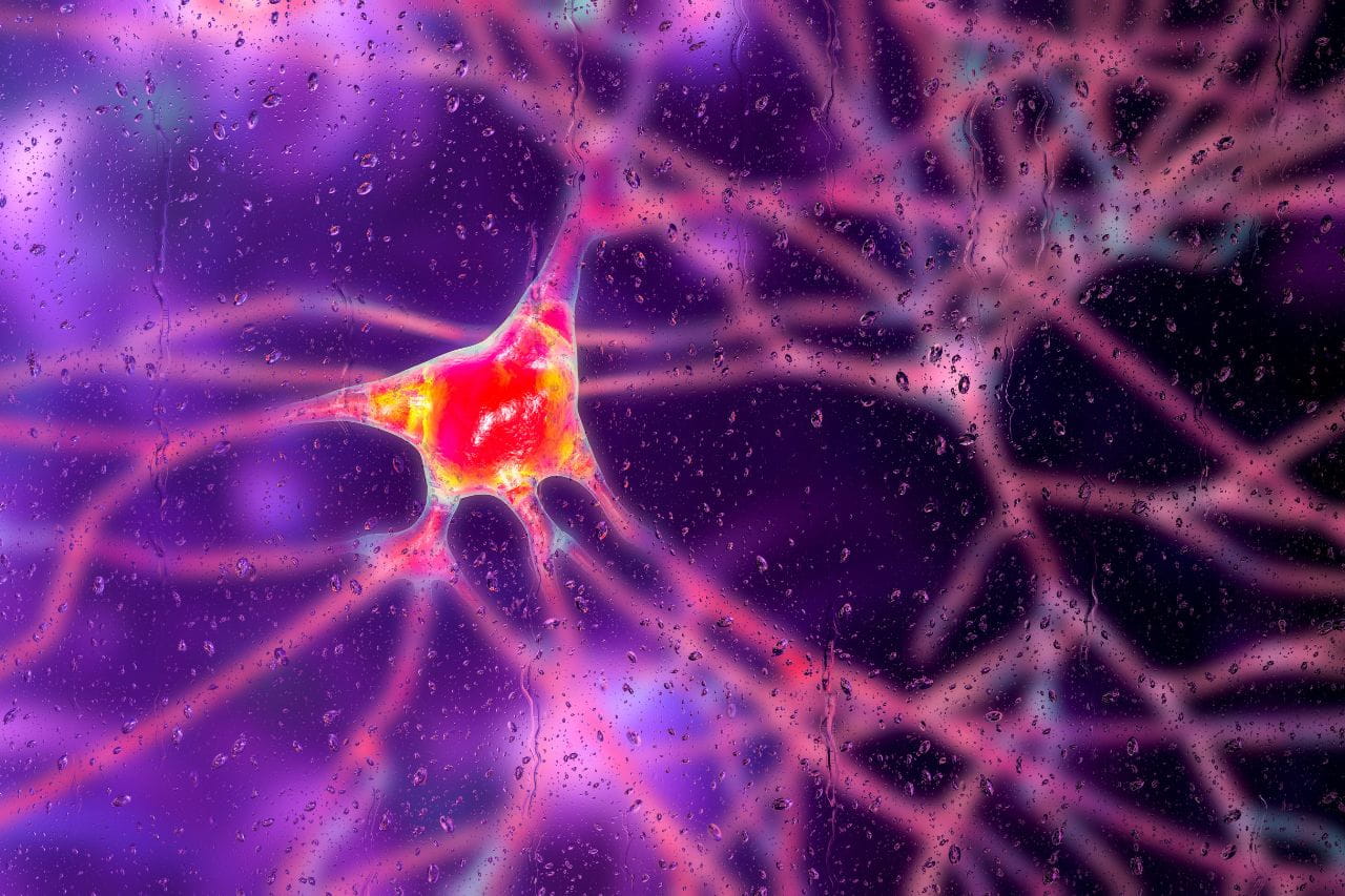 huntington's disease