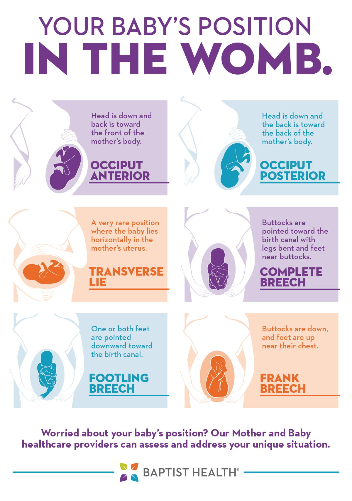 baby position in womb graphic
