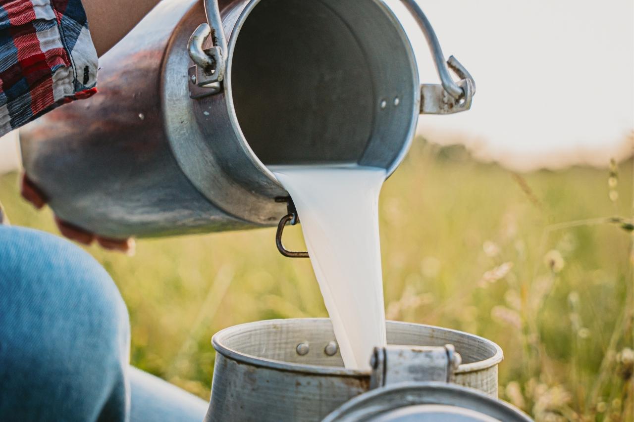 Milk being poured