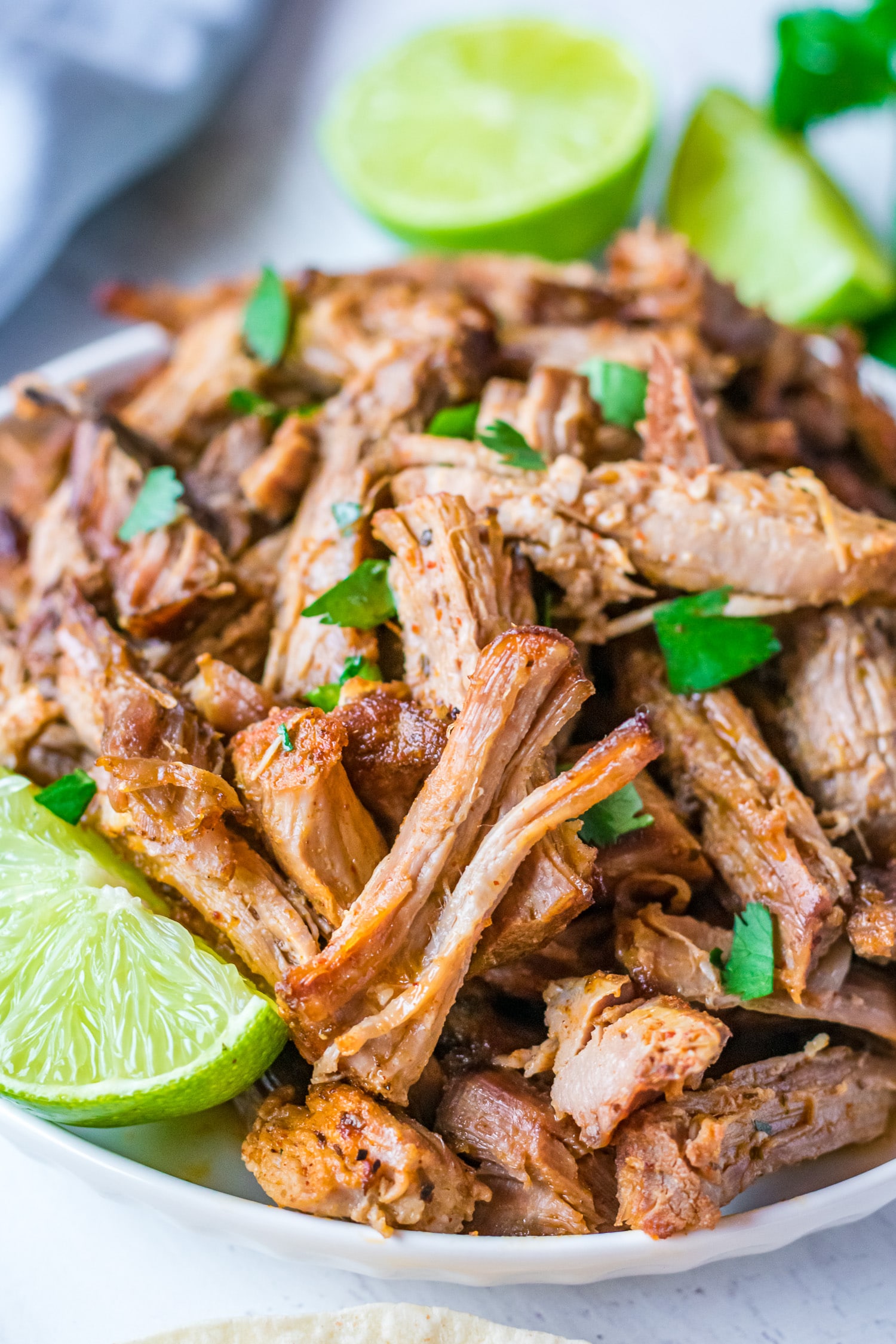 slow cooker pork carnitas