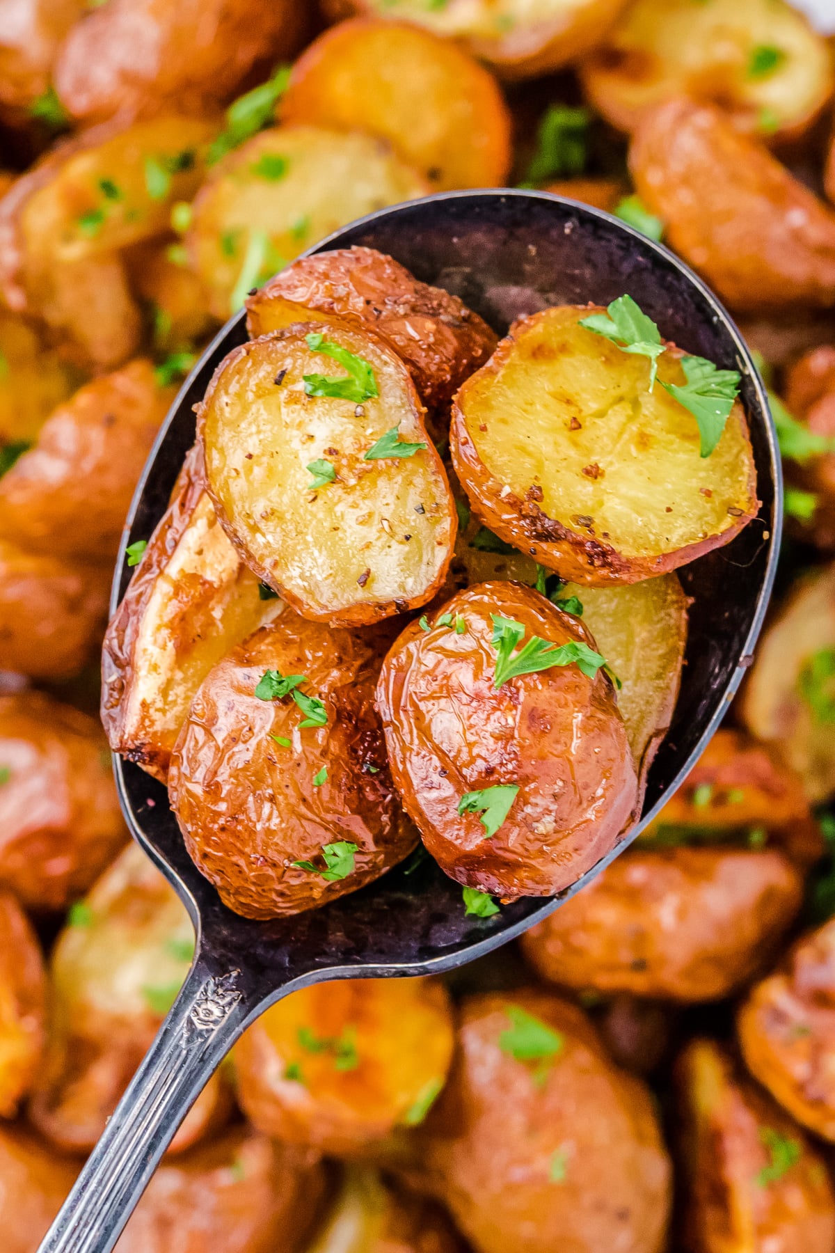 oven roasted potatoes