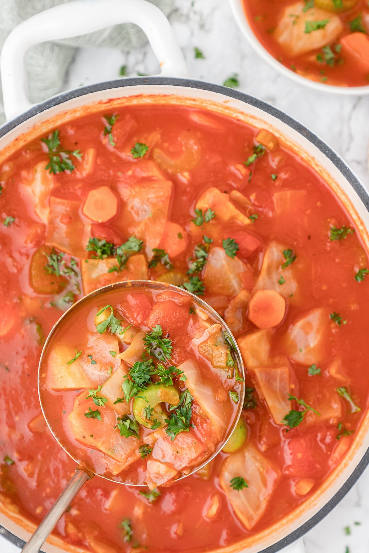 cabbage soup in pot