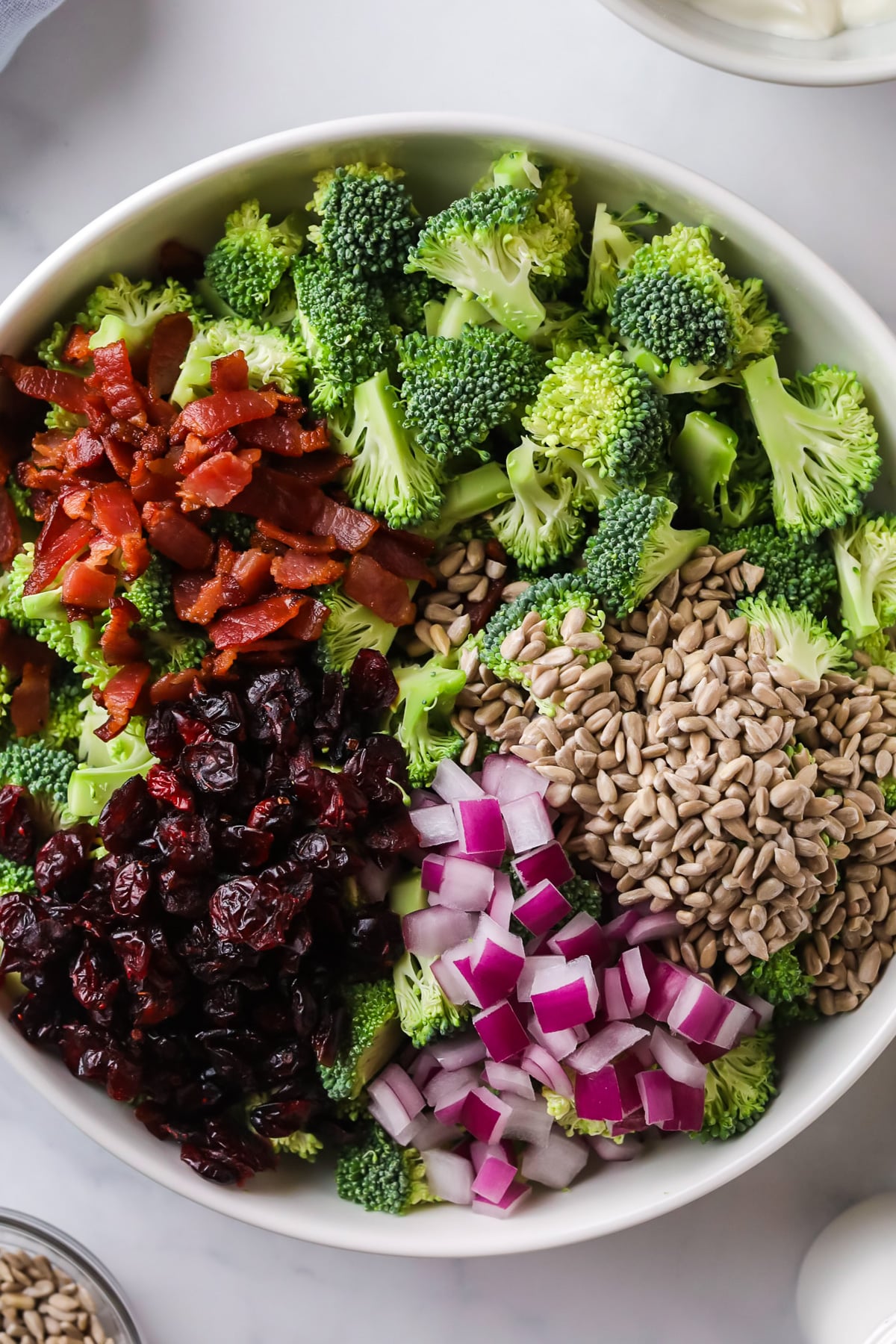 Salad ingredients for broccoli salad.
