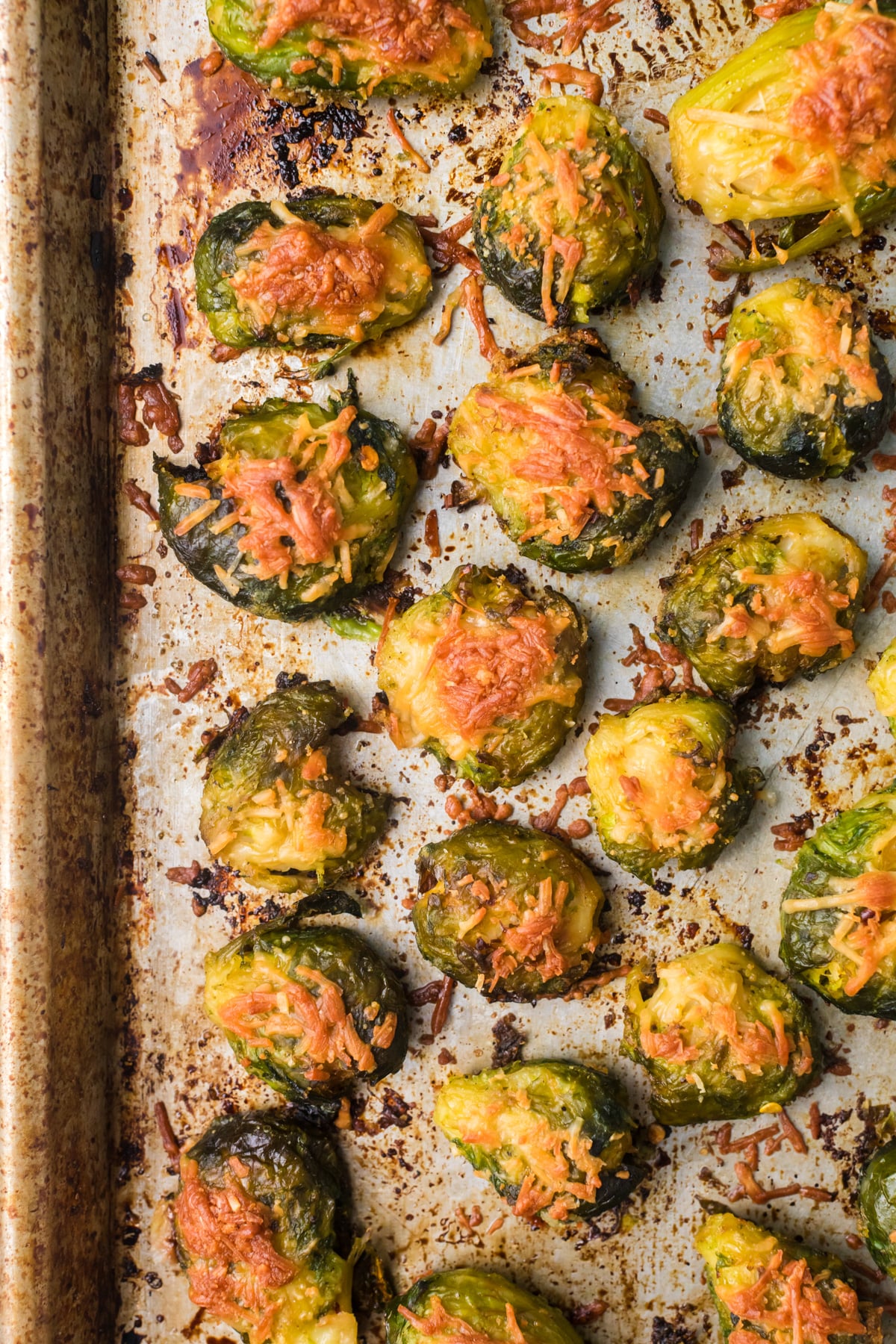 Smashed brussels sprouts on baking sheet.