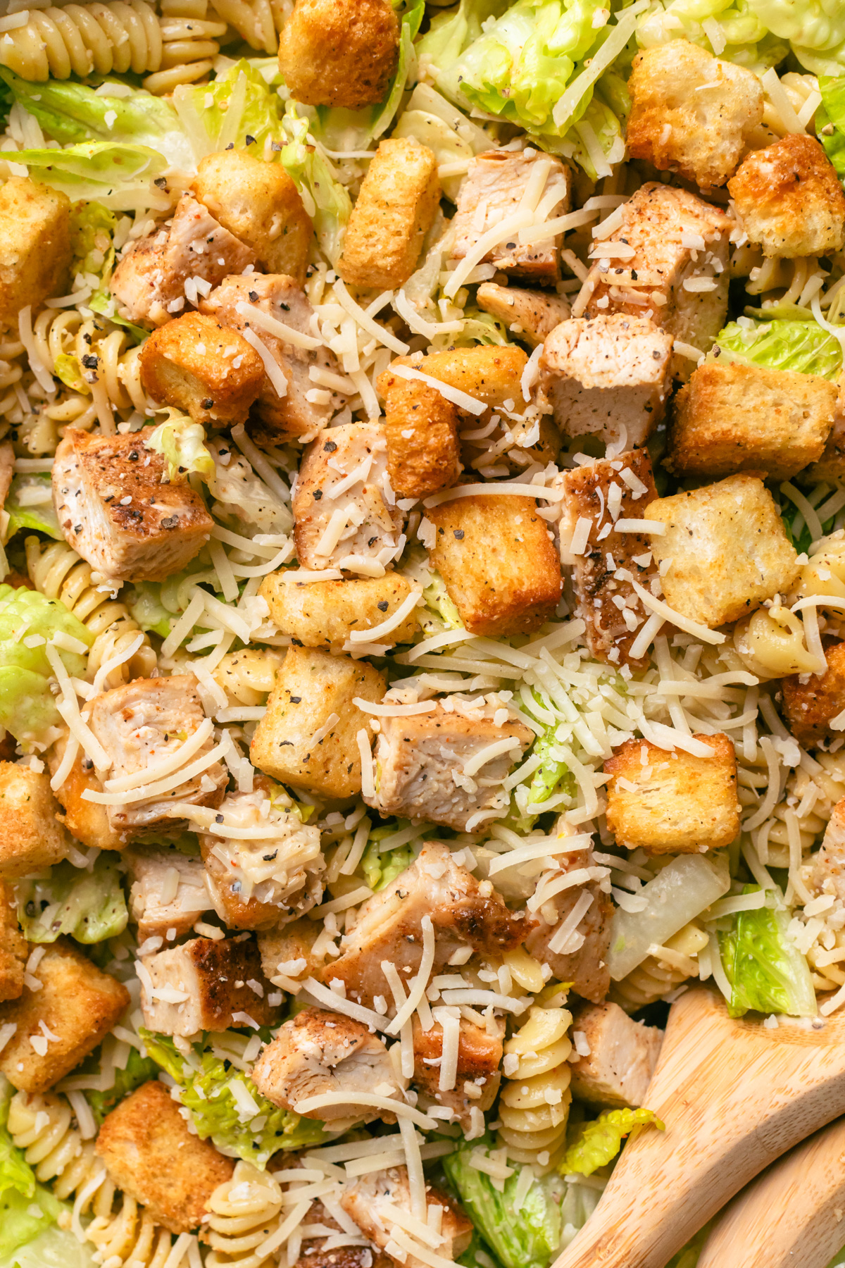 Chicken caesar pasta salad with chopped chicken.